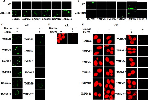 FIGURE 1.