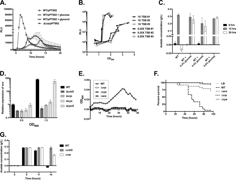 FIG 6