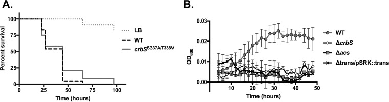 FIG 2