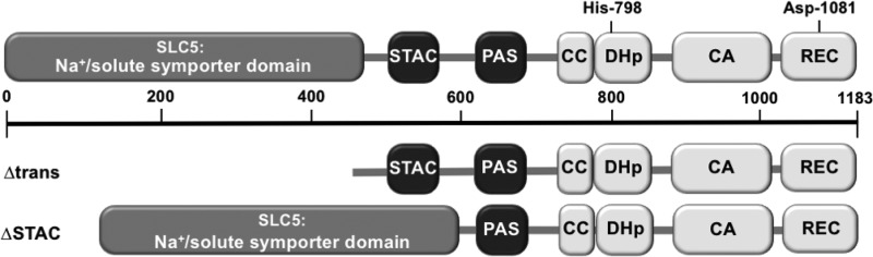 FIG 1