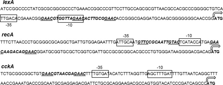 FIG 3