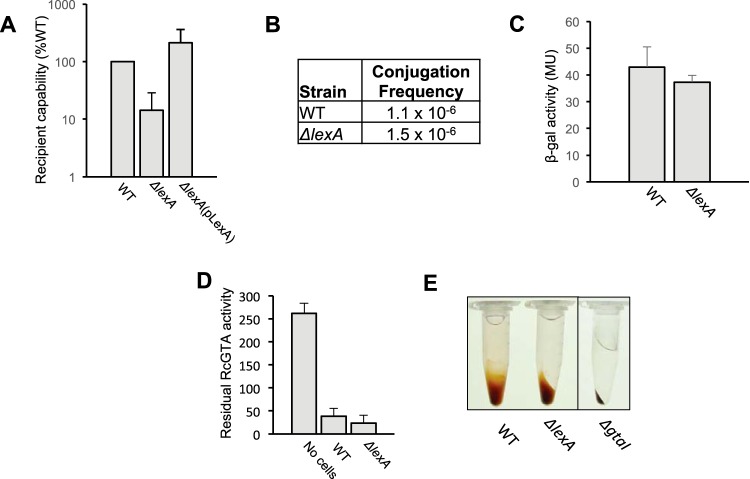 FIG 2