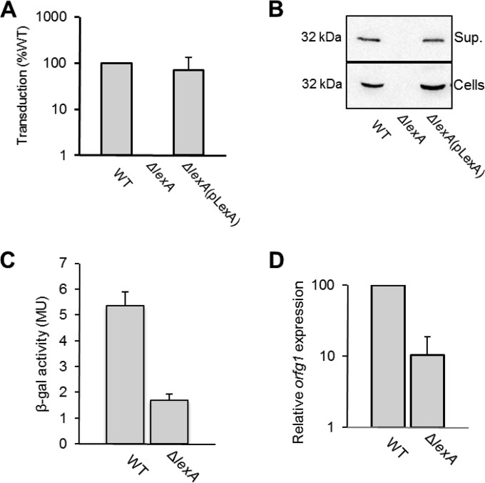 FIG 1