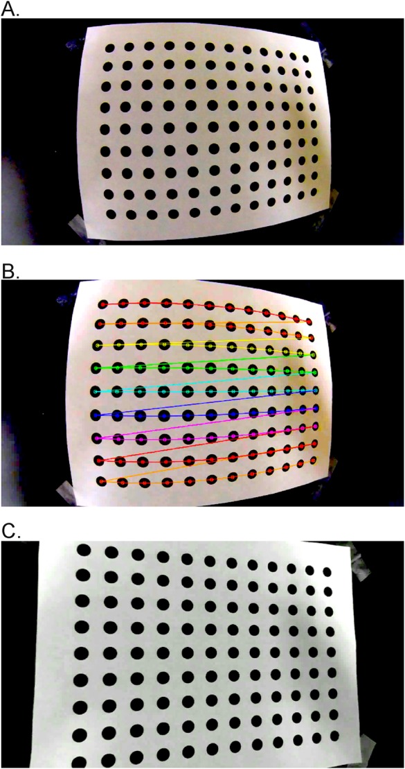 Fig. 1.