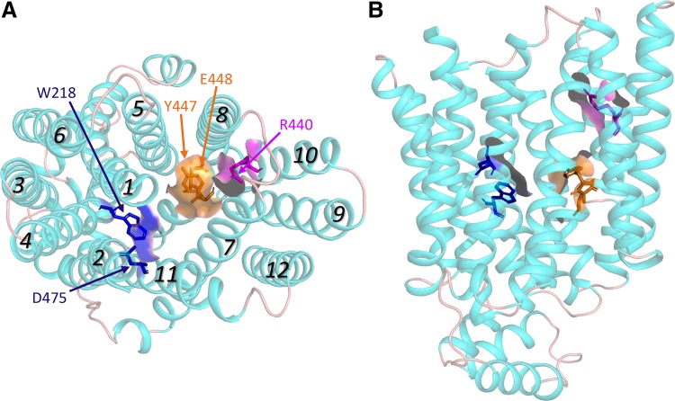 Fig. 2.