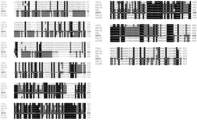 FIG. 4.