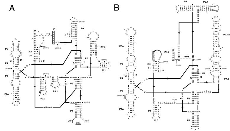 FIG. 7.