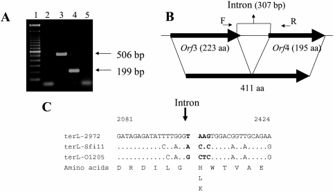 FIG. 8.