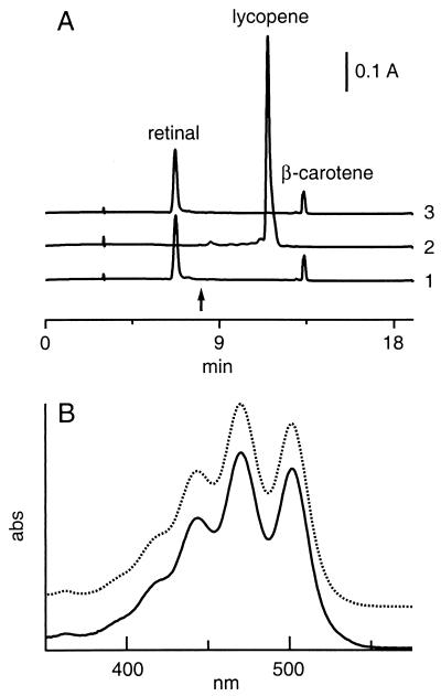 FIG. 5.