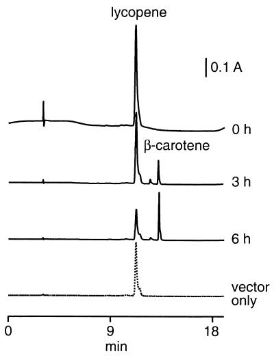 FIG. 6.