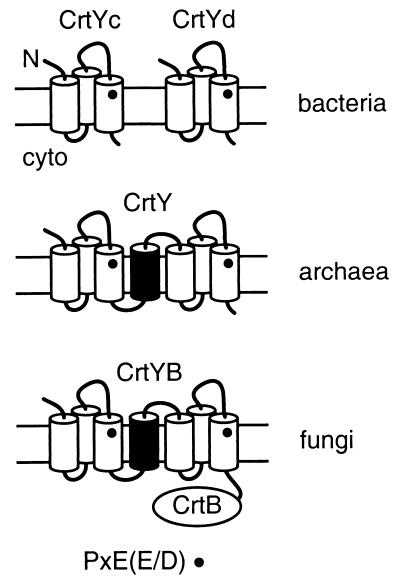 FIG. 7.