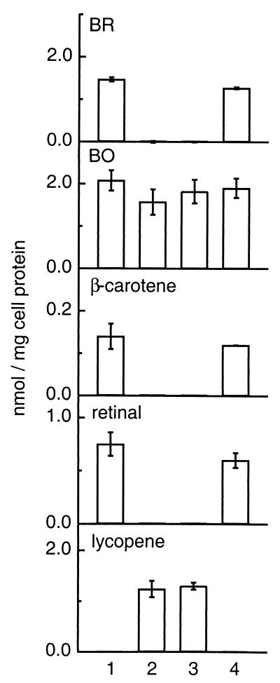 FIG. 4.