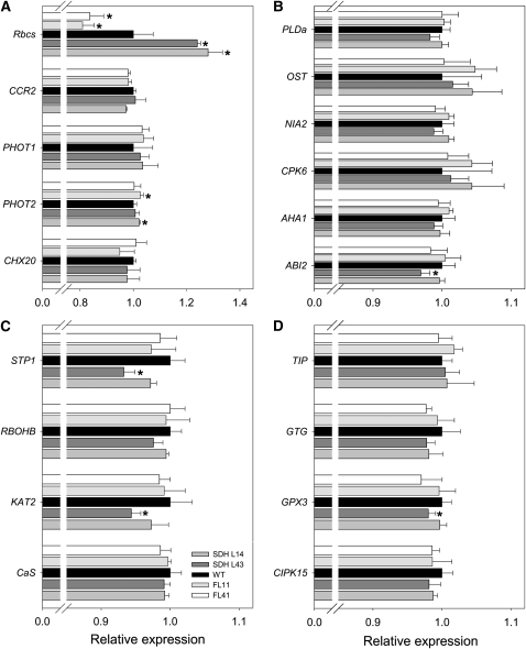 Figure 12.