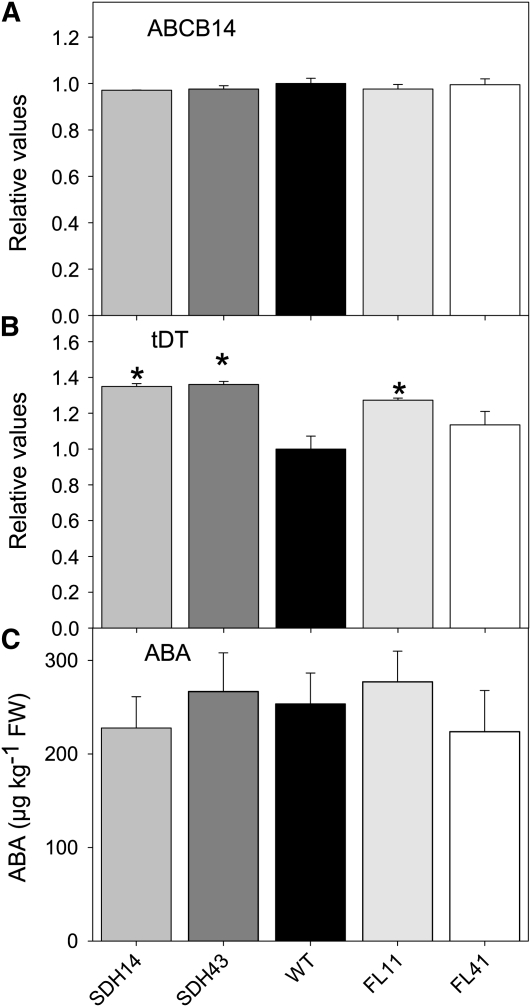 Figure 11.