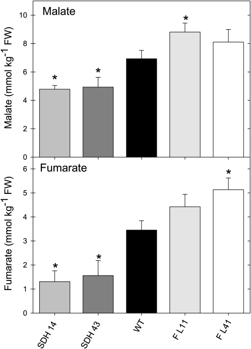 Figure 9.