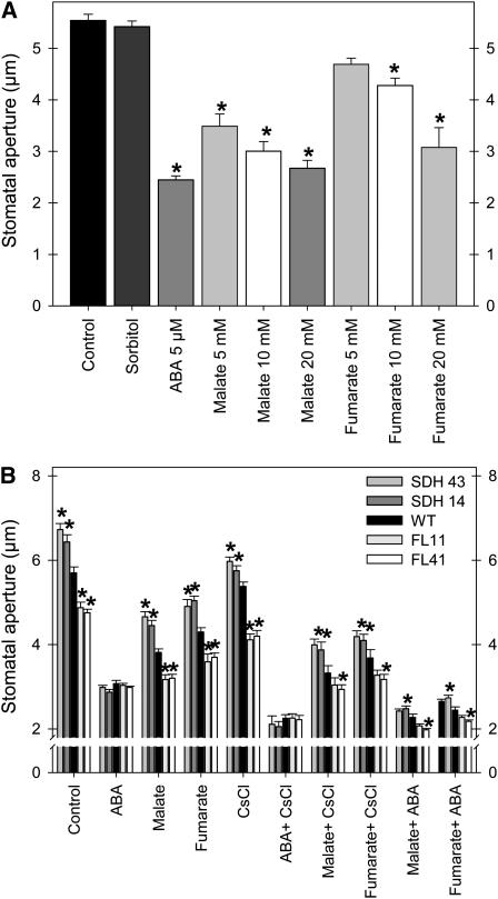 Figure 10.