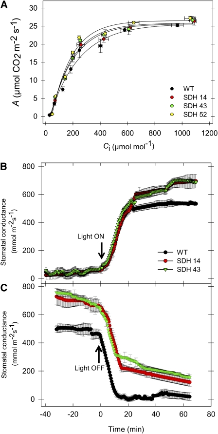 Figure 7.