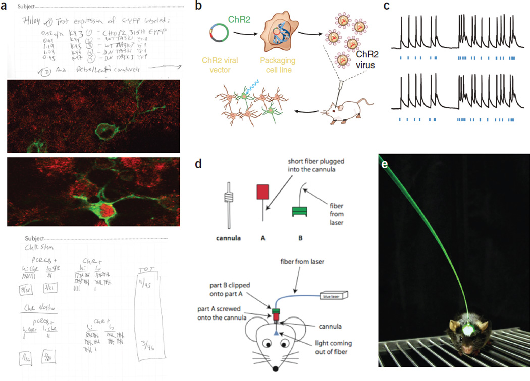 Figure 2