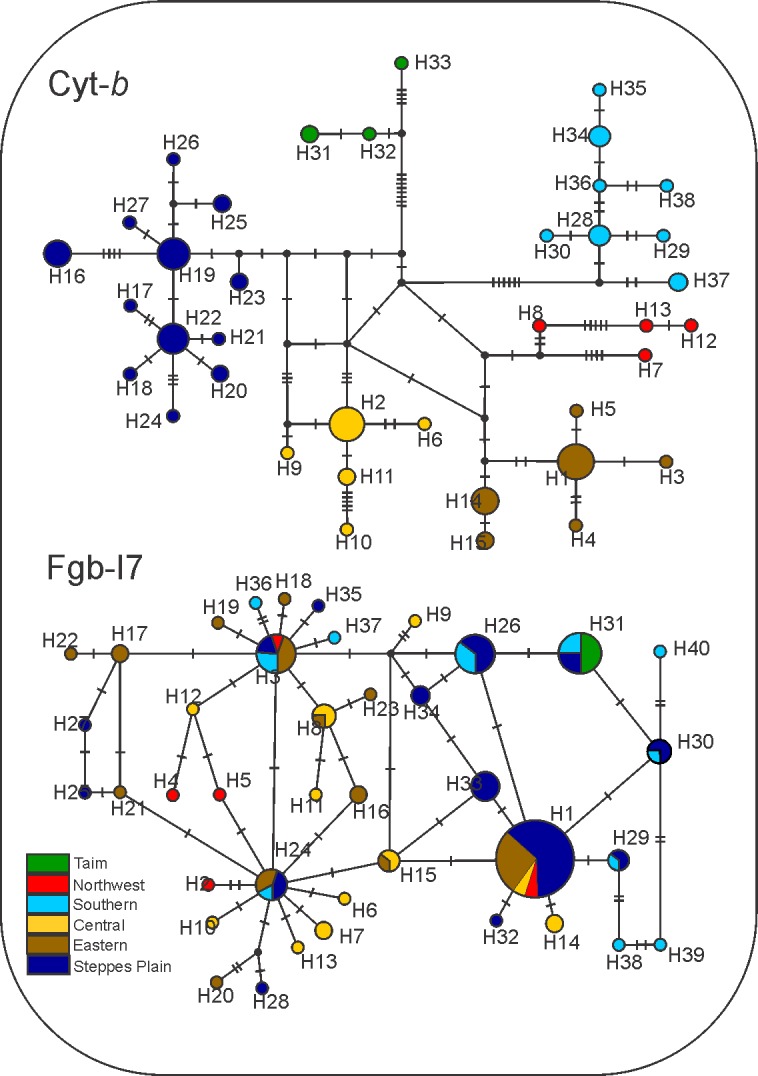 Fig 3