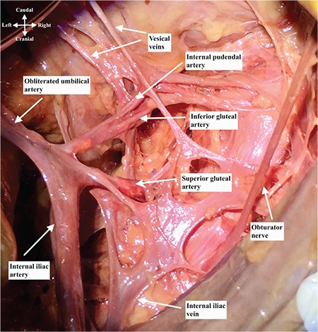 Figure 5