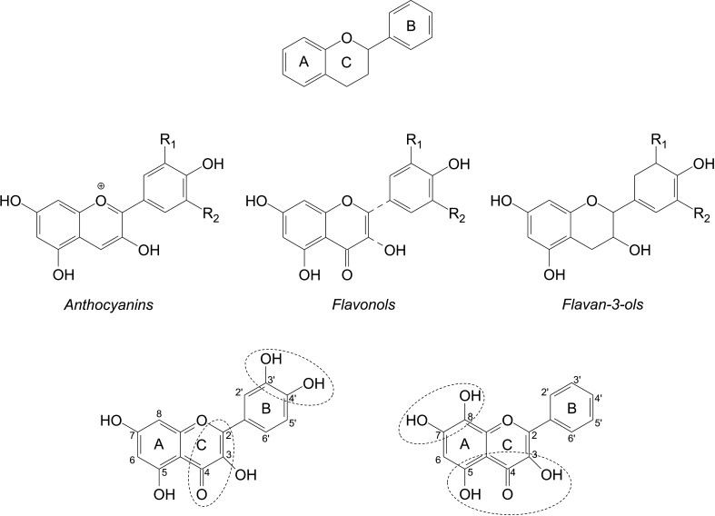 FIG. 2.