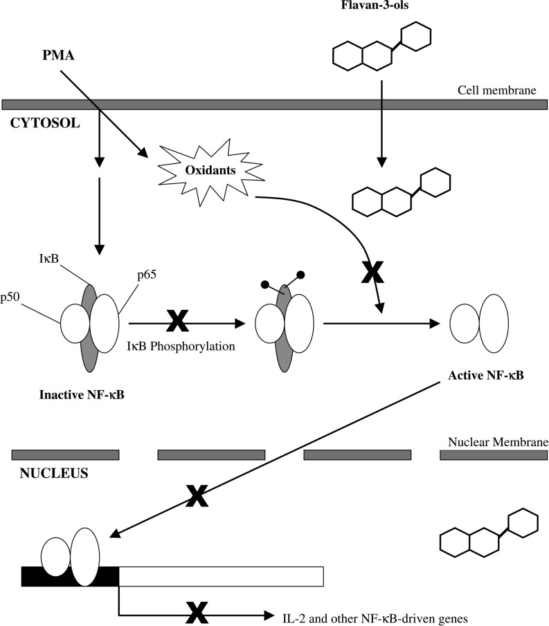 FIG. 6.