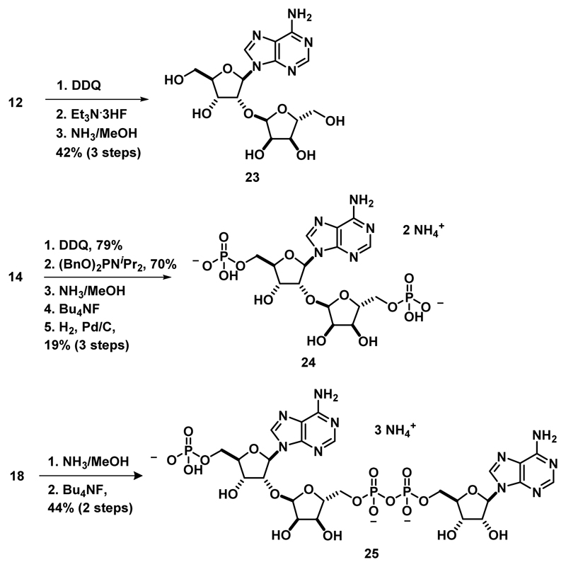 Scheme 4