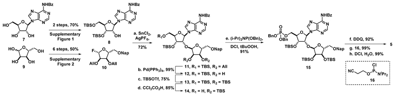 Scheme 1