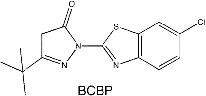 graphic file with name pnas.0909191107fig5.jpg