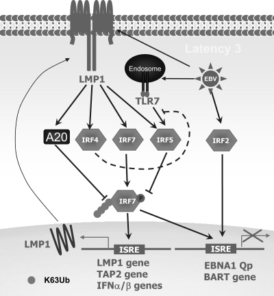 FIG. 6.