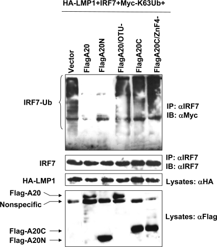 FIG. 4.