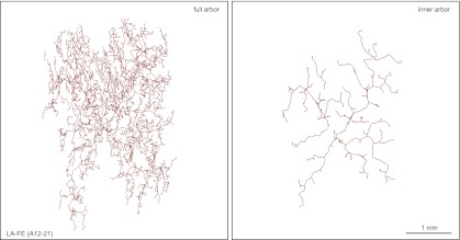 Figure 7—figure supplement 1.