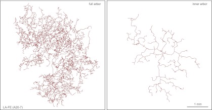 Figure 7—figure supplement 2.