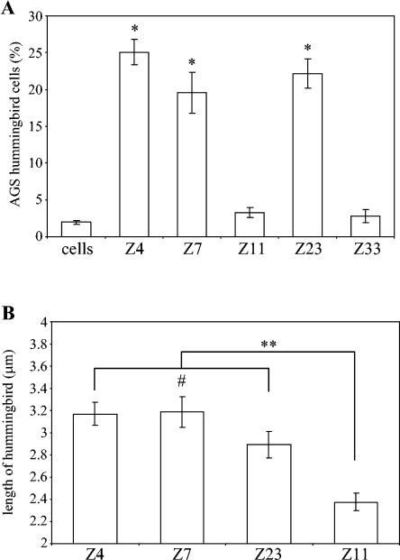 FIG. 5.