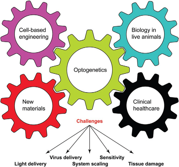 Figure 5.