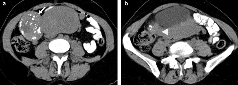 Figure 10.