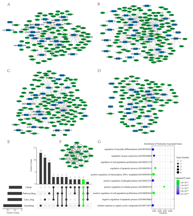 Figure 7