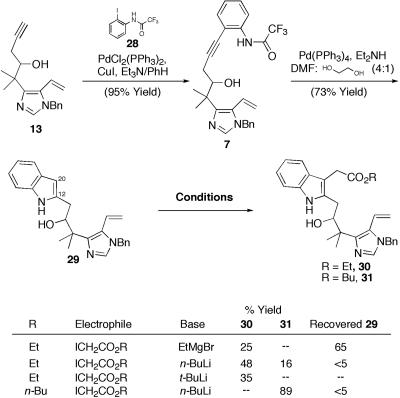 Scheme 6.