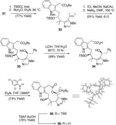 Scheme 7.