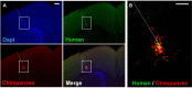 Figure 3—figure supplement 1.
