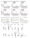 Figure 4—figure supplement 2.