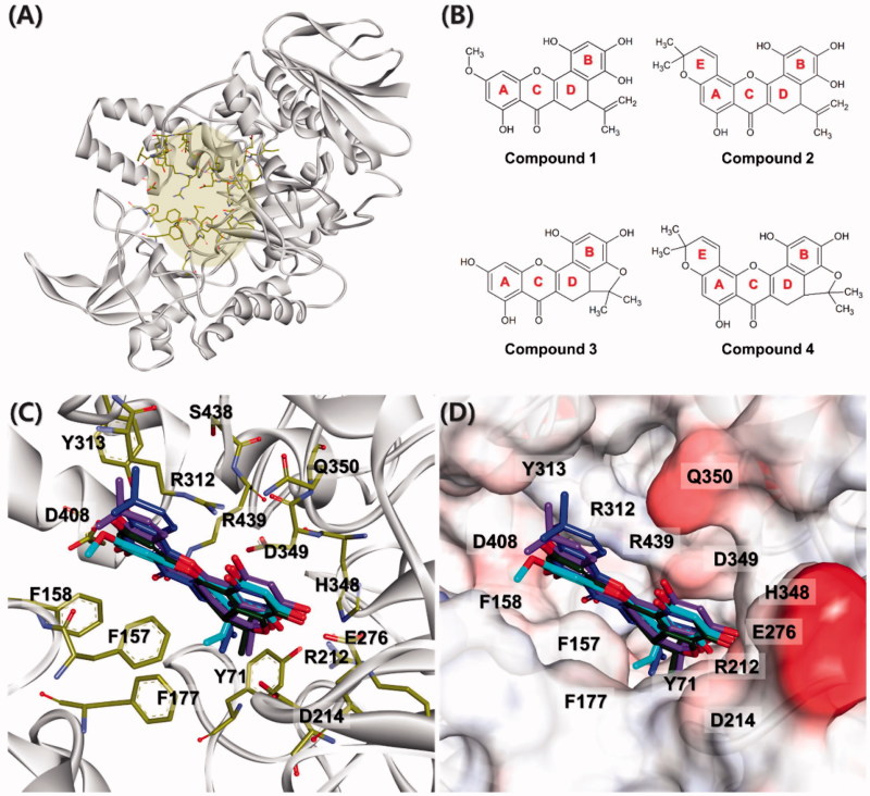 Figure 6.