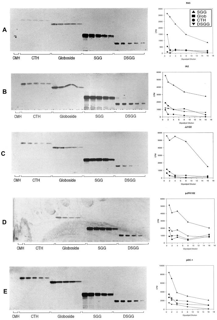 FIG. 4