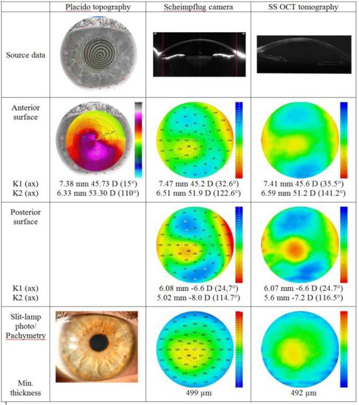 Fig. 4