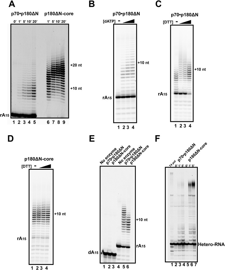 FIGURE 7.