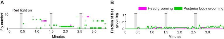 Figure 2—figure supplement 1.