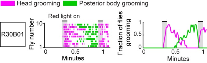 Figure 2—figure supplement 4.