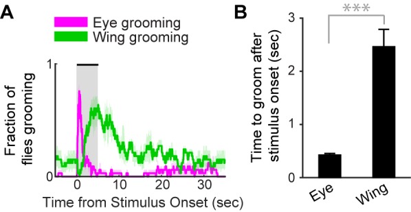 Figure 5—figure supplement 1.