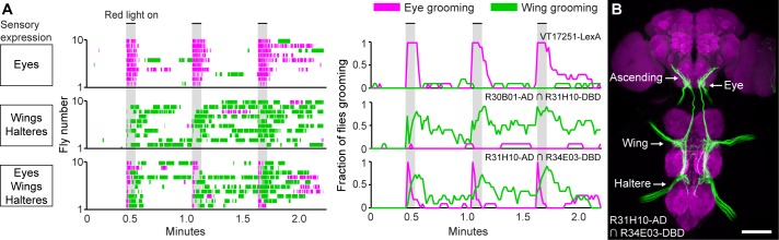 Figure 5.