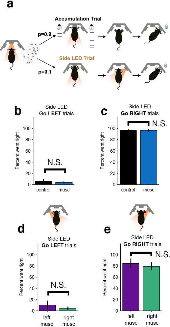 Figure 1—figure supplement 2.